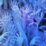 EazyBakeOven's Avatar