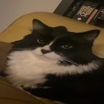 SlimeySquirrels's Avatar