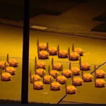 NinaDallucyJoyel's Avatar